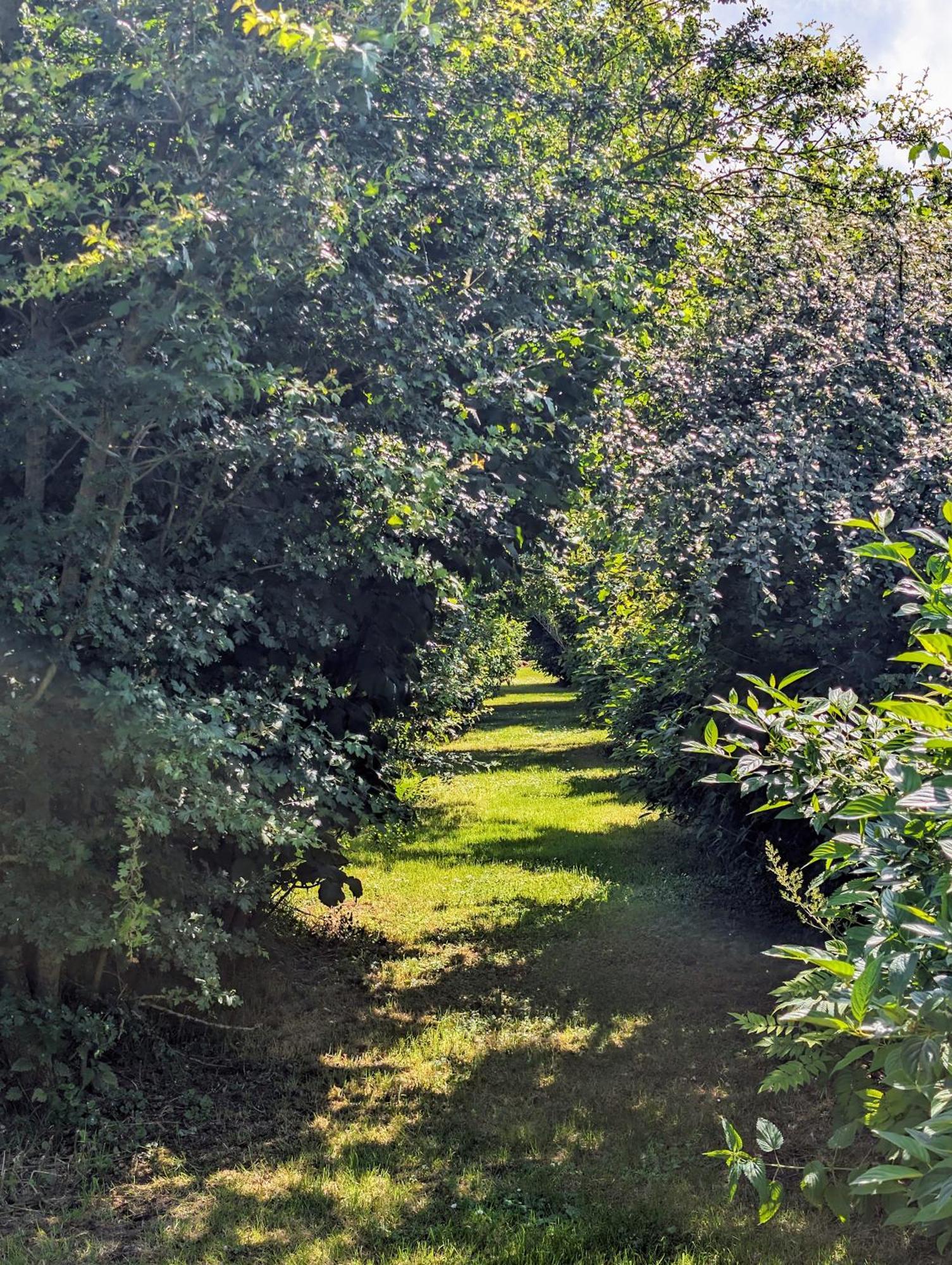 Le Relais Du Beffroi & Spa Saint-Riquier Zewnętrze zdjęcie